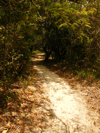 Long Key State Park