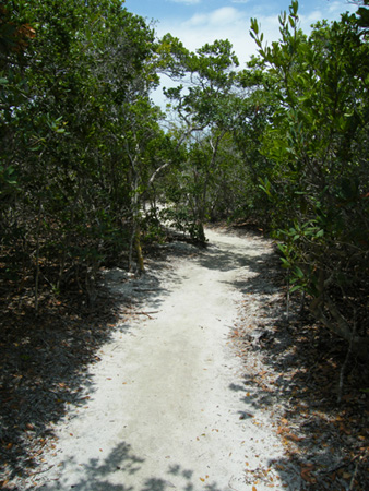 Golden Orb Nature Trail