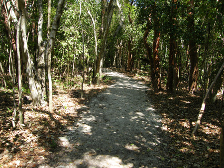 Windley  Key State Park