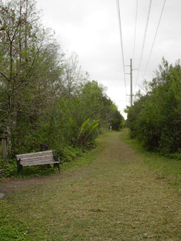 South Wetland Wander Trail