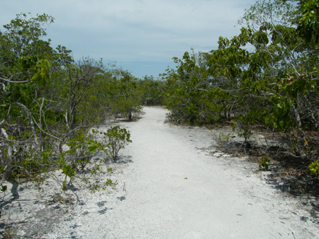 Long Key State Park
