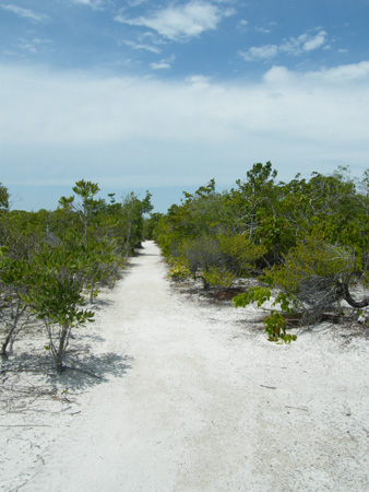 Long Key State Park