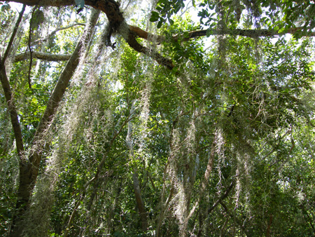 Windley  Key State Park