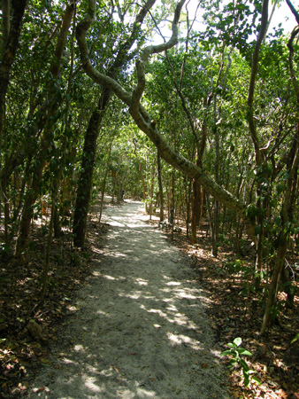 Windley  Key State Park
