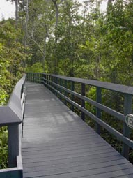 Cypress Creek Trail Start