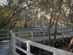 Trail Back to Nature Center