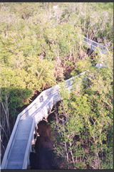 Florida Nature Trails