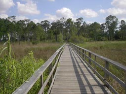 Back to Nature Center